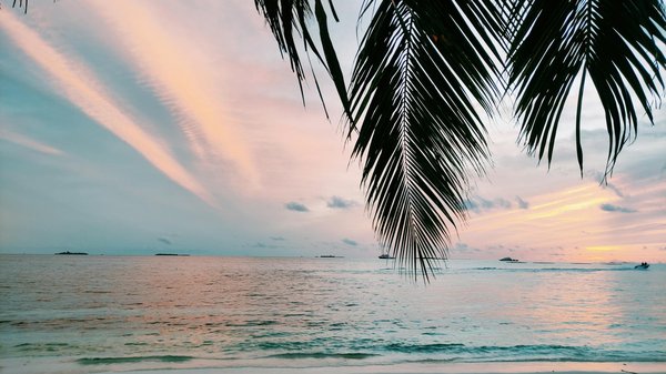 Comment choisir une tente pour un camping en bord de falaise avec vue panoramique?